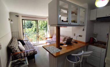 Departamento en arriendo  en PUCÓN