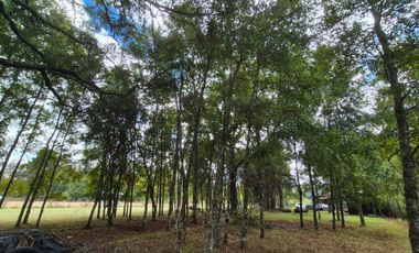 VENTA CASA EN CONDOMINIO 2HAB 1BA LONCOCHE