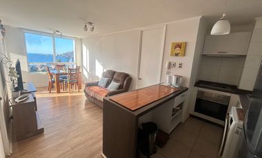Arriendo departamento amoblado hasta diciembre en La Herradura