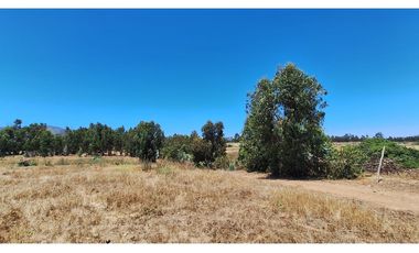 Oportunidad Única en Quintero - SITIO 37, 1 PTE