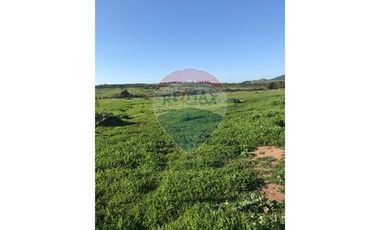 Oportunidad Única en Quintero - SITIO 37, 1 PTE