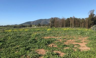 Oportunidad Única en Quintero - SITIO 37, 1 PTE