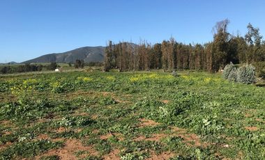 Oportunidad Única en Quintero - SITIO 37, 1 PTE