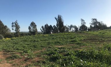 Oportunidad Única en Quintero - SITIO 37, 1 PTE