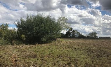 Inversión Exclusiva: Terreno en San Nicolás 1,25ha