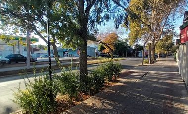 Local Comercial a la calle