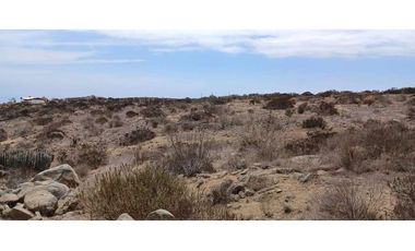 Venta de TERRENO 5000 m2 en Serena