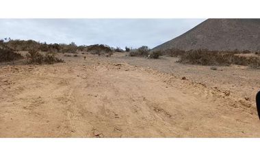 Venta de TERRENO 5000 m2 en Serena