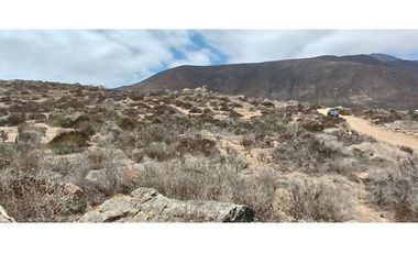 Venta de TERRENO 5000 m2 en Serena