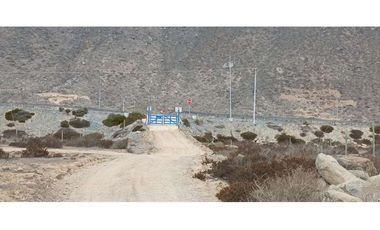 Venta de TERRENO 5000 m2 en Serena