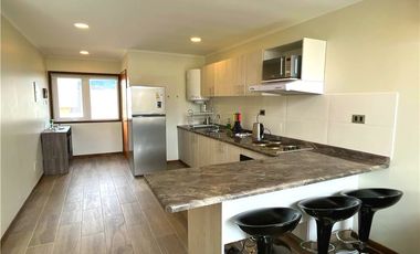 Arriendo diario en Pucón