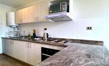 Arriendo diario en Pucón