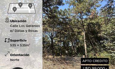 Terreno en Costa del Este - Los Geranios e/ Las Dalias y Rosas