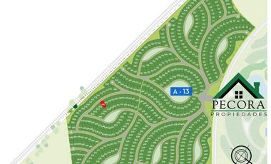 Terreno - lote - Interno -  San Sebastian - Area 13 - Lote 500