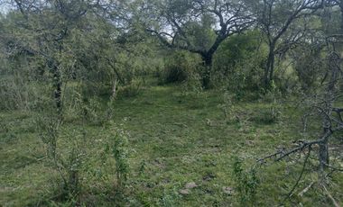 Campo en La Paz, Entre Rios