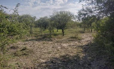 Campo en La Paz, Entre Rios