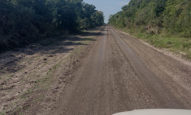 Campo en La Paz, Entre Rios