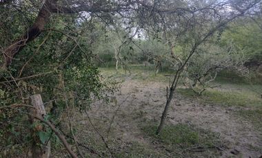 Campo en La Paz, Entre Rios