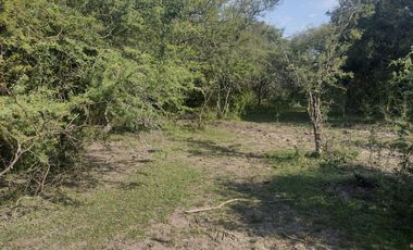 Campo en La Paz, Entre Rios