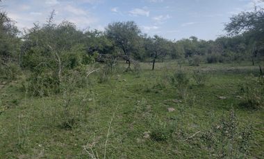 Campo en La Paz, Entre Rios