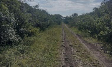 Campo en La Paz, Entre Rios