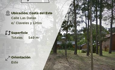 Lote luminoso en Costa del Este