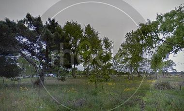 Amplio lote en Costa del Este