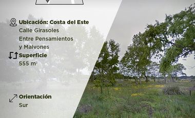 Amplio lote en Costa del Este