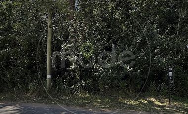 Terreno sobre asfalto en Costa del Este - Calle Pensamientos e/ Gardenias y Margaritas