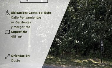 Terreno sobre asfalto en Costa del Este - Calle Pensamientos e/ Gardenias y Margaritas
