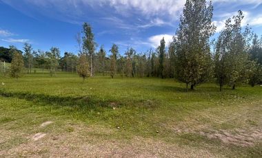 Terreno en  Alamos Del timbó