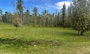 Terreno en  Alamos Del timbó