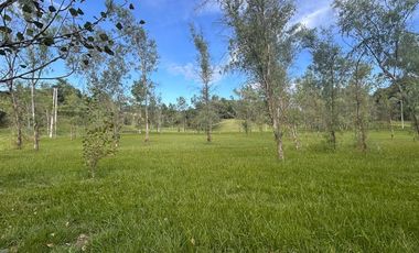 Terreno en  Alamos Del timbó