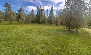 Terreno en  Alamos Del timbó