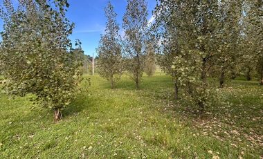 Terreno en  Alamos Del timbó