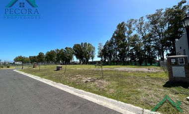Terreno - Lote - Pilar del este - Santa Elisa - Lote 248