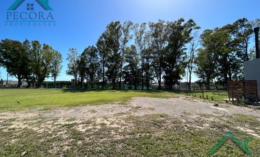 Terreno - Lote - Pilar del este - Santa Elisa - Lote 248