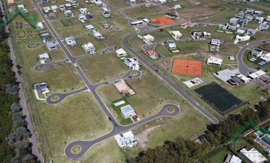 Terreno - Lote - Pilar del este - Santa Elisa - Lote 248