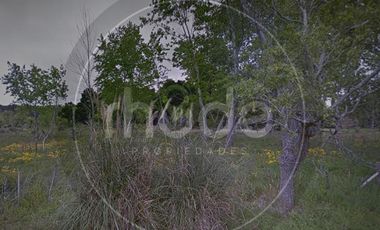 Los Girasoles entre Pensamientos y Malvones - Excelente lote en Costa del Este