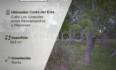 Los Girasoles entre Pensamientos y Malvones - Excelente lote en Costa del Este