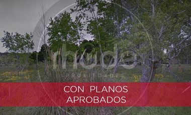 Los Girasoles entre Pensamientos y Malvones - Excelente lote en Costa del Este