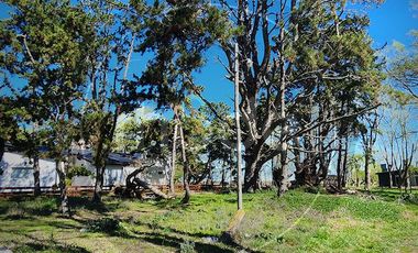 Excelente lote orientacion noreste en Costa del Este