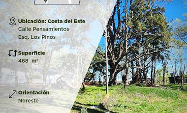 Excelente lote orientacion noreste en Costa del Este