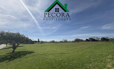 Terreno - Lote 182 - Perimetral - San Sebastian - Area 1