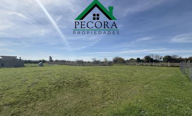 Terreno - Lote 182 - Perimetral - San Sebastian - Area 1