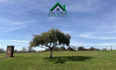 Terreno - Lote 182 - Perimetral - San Sebastian - Area 1