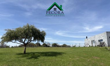 Terreno - Lote 182 - Perimetral - San Sebastian - Area 1