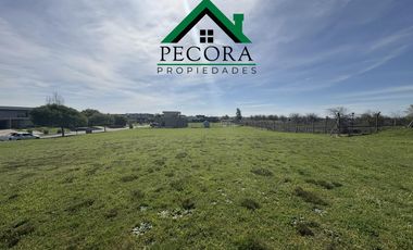 Terreno - Lote 182 - Perimetral - San Sebastian - Area 1