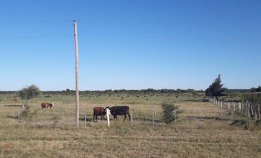 Venta Campo Chajari Entre Rios 399 has Sobre ruta 14