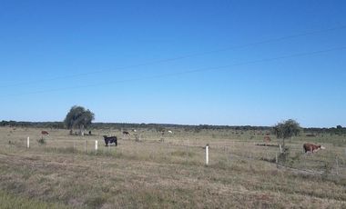Venta Campo Chajari Entre Rios 399 has Sobre ruta 14